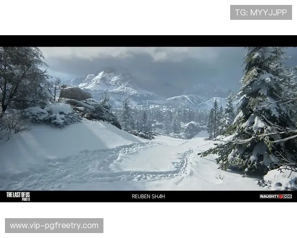 PG官网线上官网的优势与特色，为什么选择官方平台进行相关操作